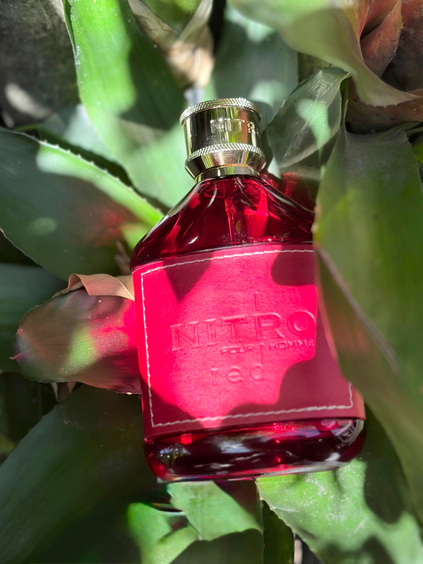 Dumont Nitro Red