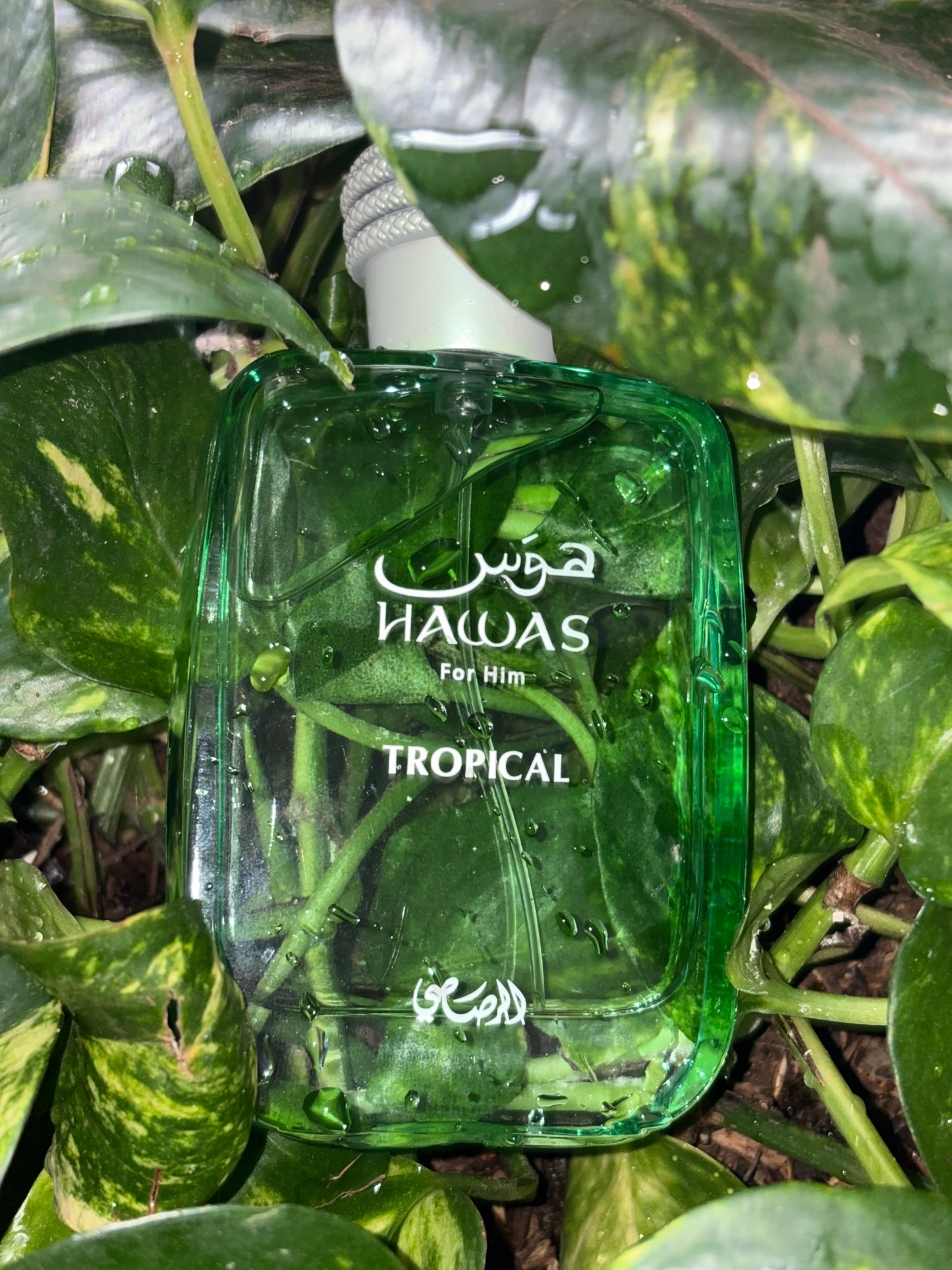 Rasasi Hawas Tropical