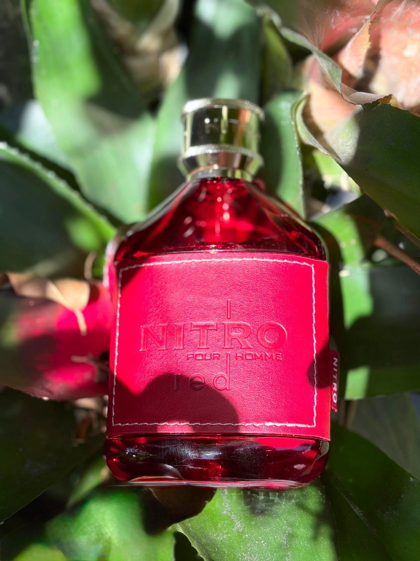 Dumont Nitro Red